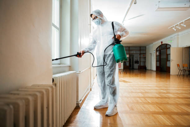 Real Estate Pest Inspections in Morongo Valley, CA